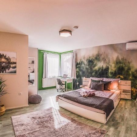 Riverside Apartman**** ميسكولك المظهر الخارجي الصورة