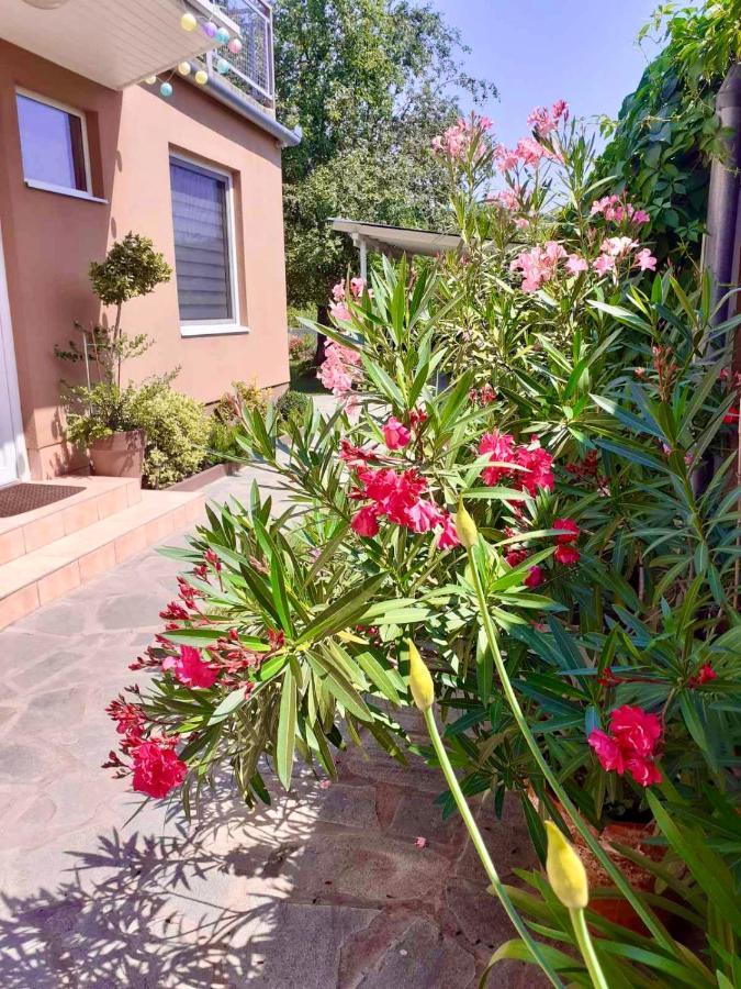 Riverside Apartman**** ميسكولك المظهر الخارجي الصورة